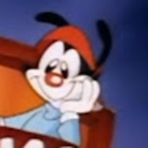 Meet your Posher, Chase